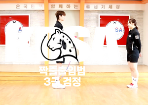 3급 검정 짝줄 출입법
